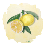 Tangelo Lo Wekiwa Anjou Citrus