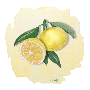 Tangelo Lo Wekiwa Anjou Citrus